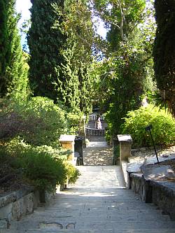 Hanbury Gardens